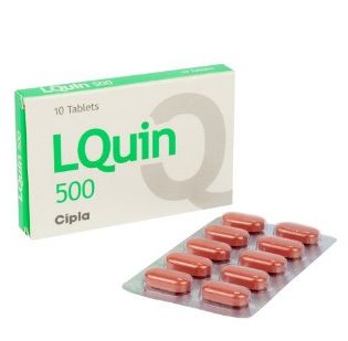 Lquin 500-기타상품-델리샵