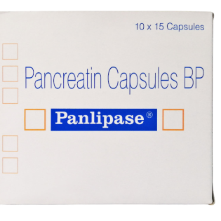 PANLIPASE-기타상품-델리샵